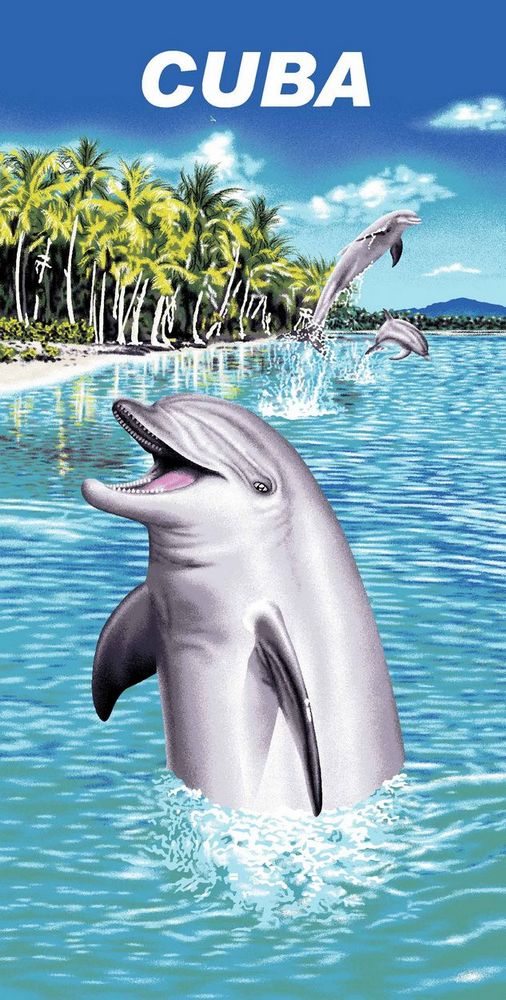 Dolphin cotton beach towel